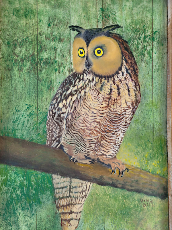 Great Horned Owl by Goldie Gillis, Image 1.