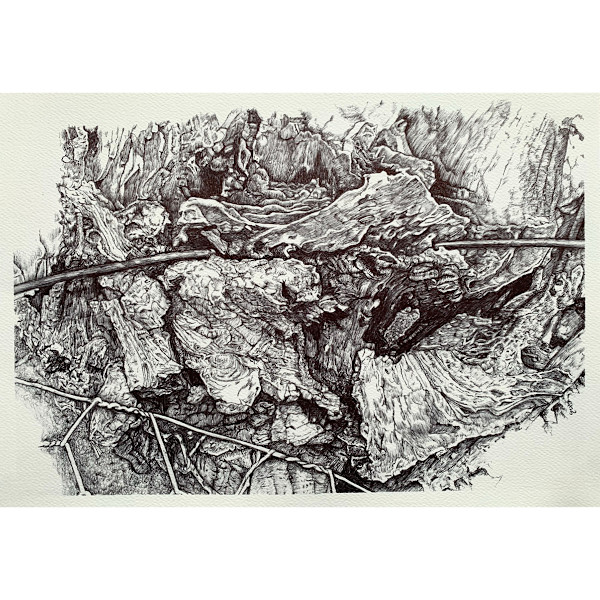 Across the Divide by Gail Hoban, Image 1.