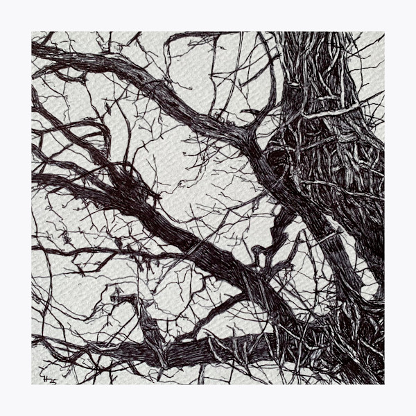 Bare and Black 1 by Gail Hoban, Image 1.