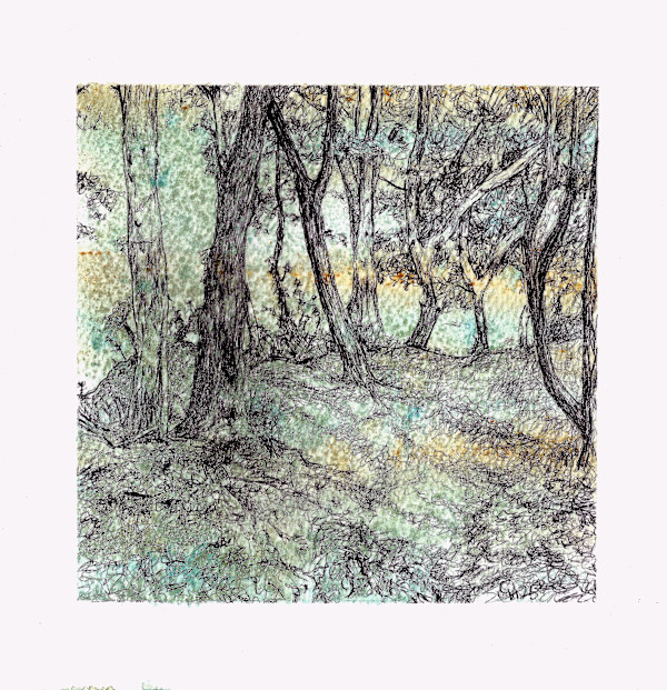 Seaview Isle of Wight - Through the Branches by Gail Hoban, Image 1.