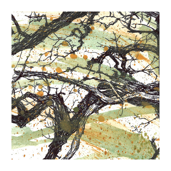Running Wild Lichen Love 1 by Gail Hoban, Image 6.