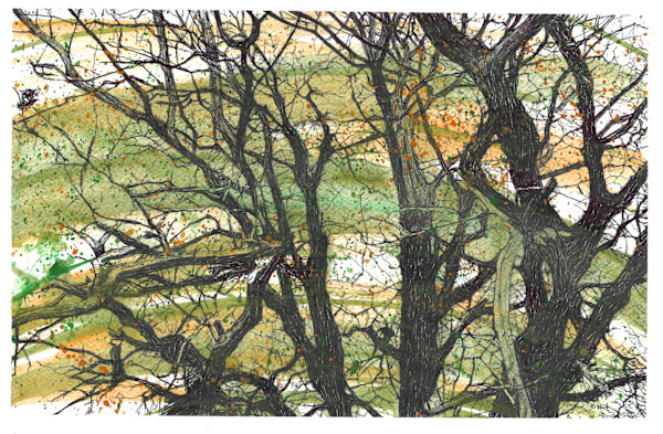 Running Wild Weaving The Branches 1 by Gail Hoban, Image 1.