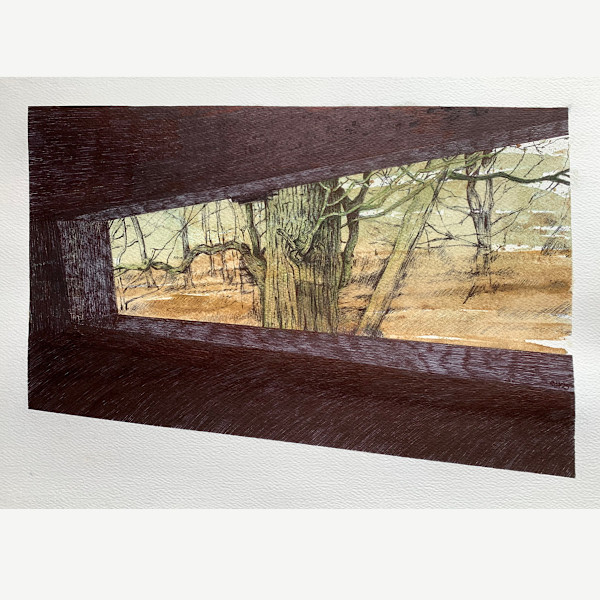 Looking for Birds by Gail Hoban, Image 1.