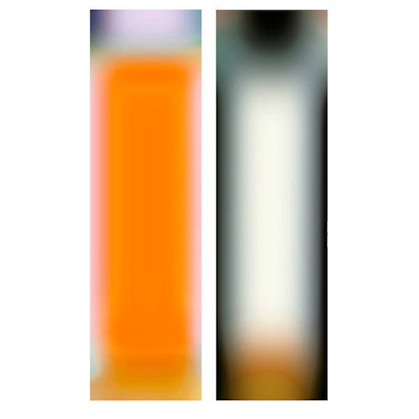 LenEM-10 by Bill Kane, Image 11.