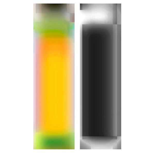 LenEM-2 by Bill Kane, Image 4.