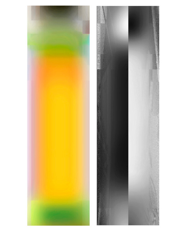 LenEM-315 by Bill Kane, Image 8.