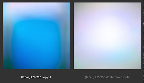ML-20 by Bill Kane, Image 3.