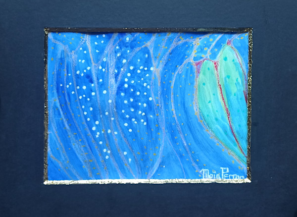 Ciel étoilé sur un cactus by Maïa Perron, Image 1.