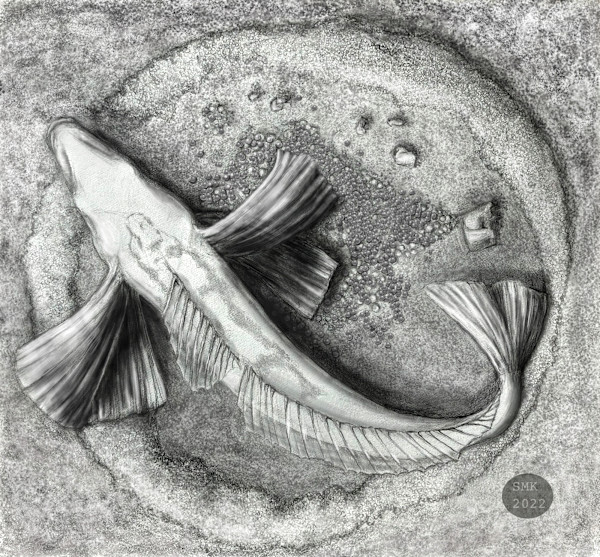 Nesting Icefish by Shana Katzman, Image 1.