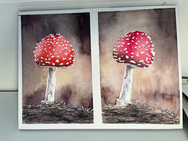Fly agaric by Shana Katzman, Image 1.