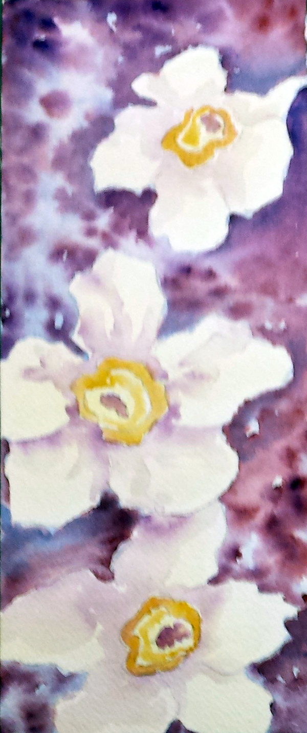 Daffodils by Jessica Kronika, Image 11.