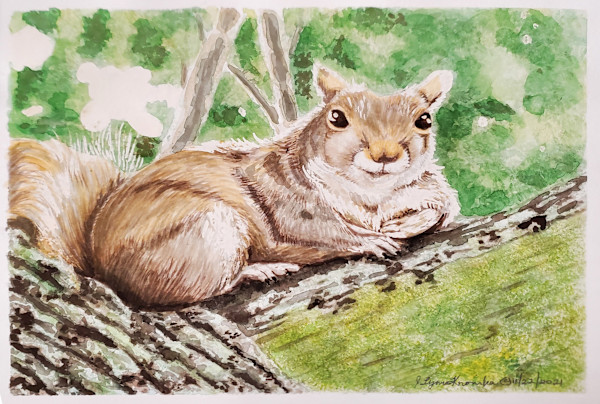 Friendly Squirrel by Jessica Kronika, Image 12.