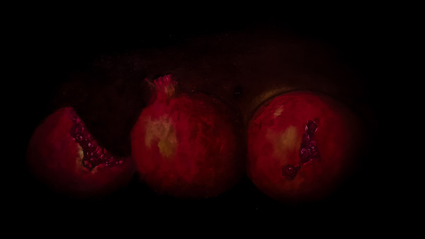 Three Pomegranates by James de Villiers