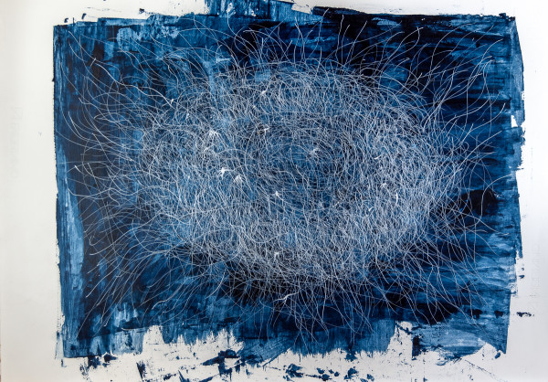 Blue Nest by James de Villiers