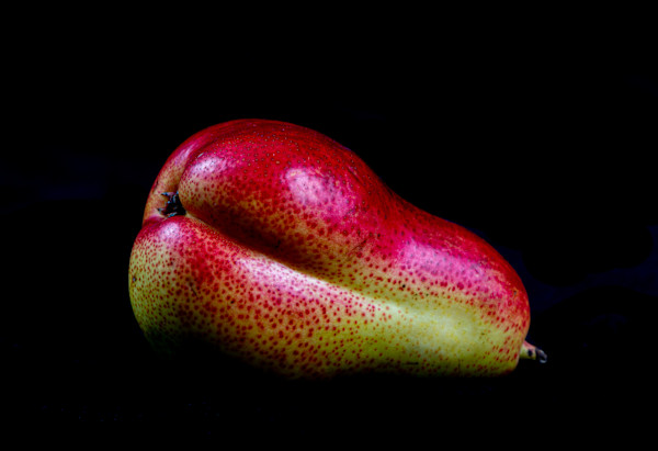 Forelle Reclining by Cheryl Aden, Image 1.
