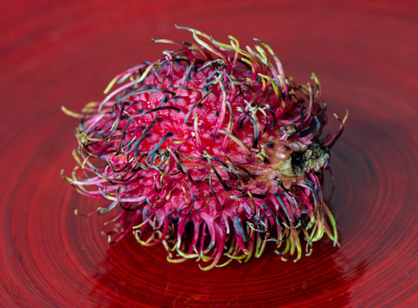 Rambutan on Red by Cheryl Aden, Image 1.
