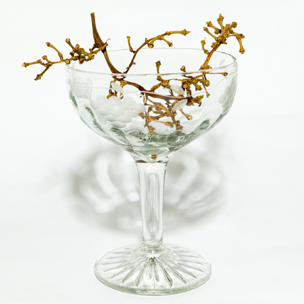 Stemware by Cheryl Aden, Image 1.