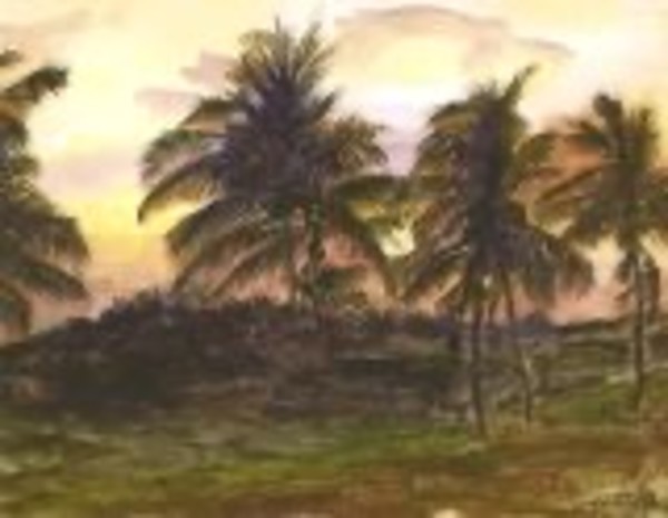 Driftwood Sunset by Lucretia D. Clark, Image 1.