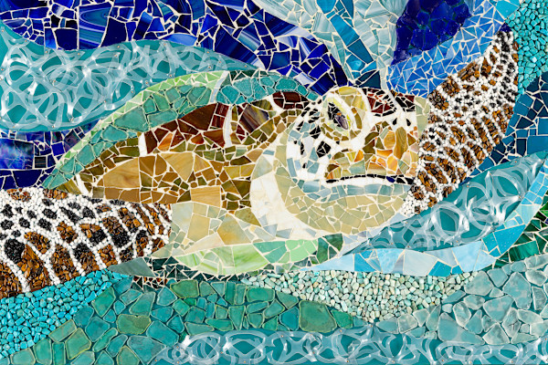 Plight of the Turtles by Teresa Rench