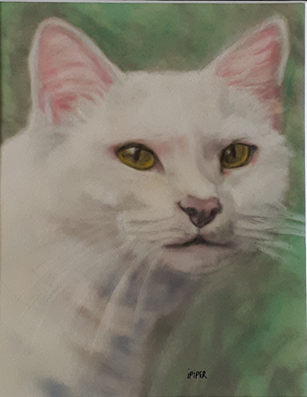 Angel by irene Piper