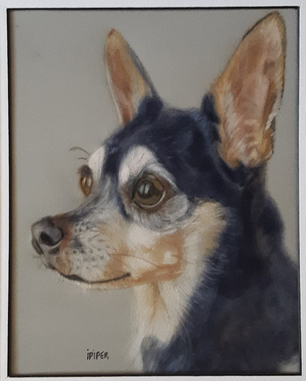 Cooper by irene Piper