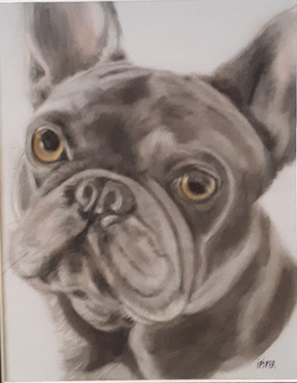 Frenchy Montana by irene Piper