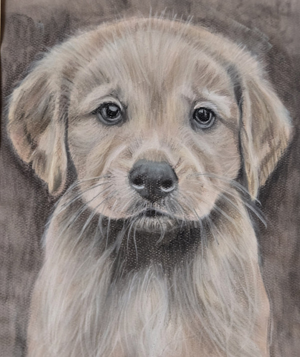 Benji by irene Piper