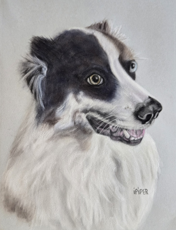 Dexter by irene Piper