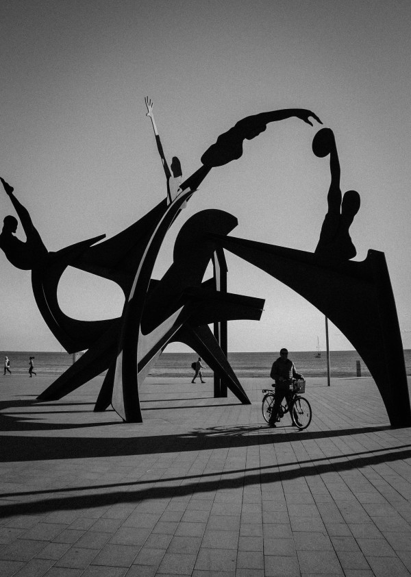 Sculptural Bicycle by Elysian I Koglmeier