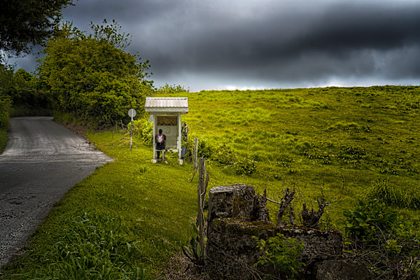 Country Time by Hugh Walker, Image 1.
