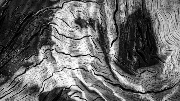 Eternal Lines 1 by Hugh Walker, Image 1.