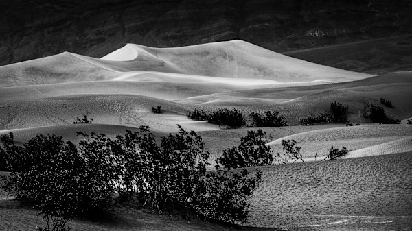 Dune by Hugh Walker, Image 1.