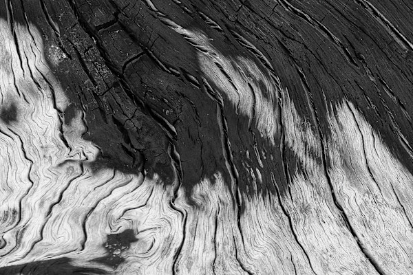 Eternal Lines 3 by Hugh Walker, Image 1.