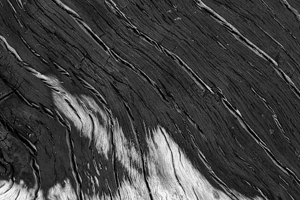 Eternal Lines 4 by Hugh Walker, Image 1.