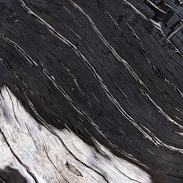 Eternal Lines 5 by Hugh Walker, Image 1.