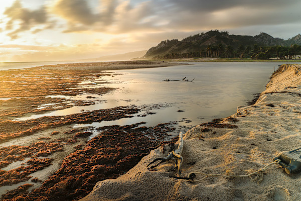 Get OUt 5AM by Hugh Walker, Image 1.