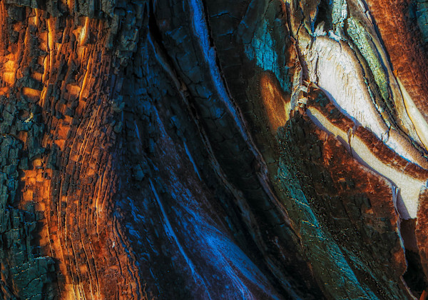Blue Wood by Hugh Walker, Image 3.