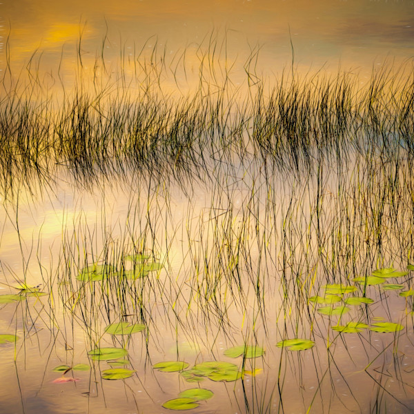 Pond Dreams by Hugh Walker, Image 1.