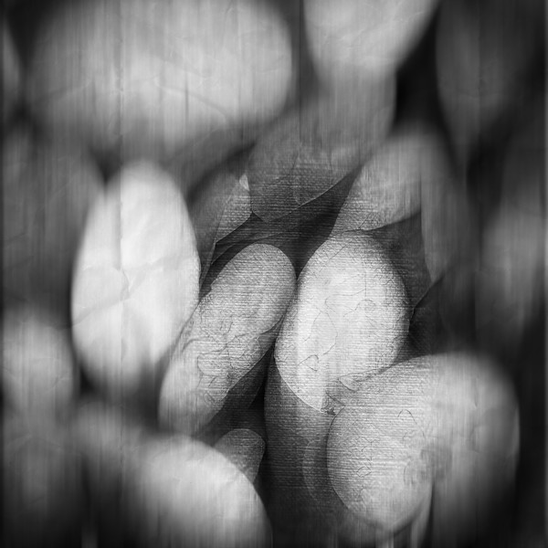 Strata by Hugh Walker