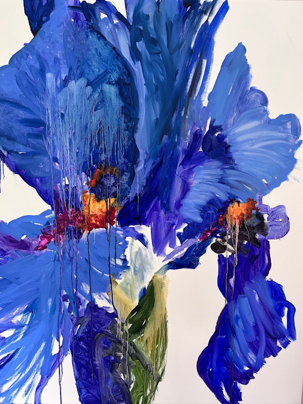 Iris Lyssa by Fionnuala Lanigan, Image 1.