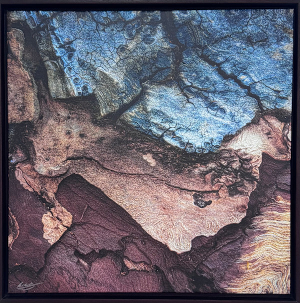 Complexity by Hugh Walker, Image 1.
