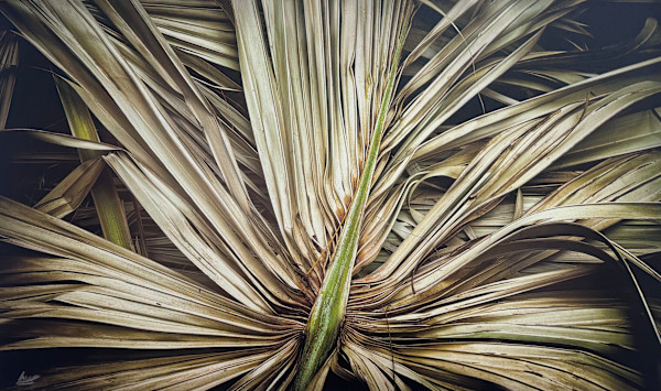 Dance of The Leaves by Hugh Walker, Image 1.