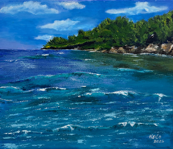 Anse Cochon ( Bay Of Pigs ) by Neil Paul, Image 1.