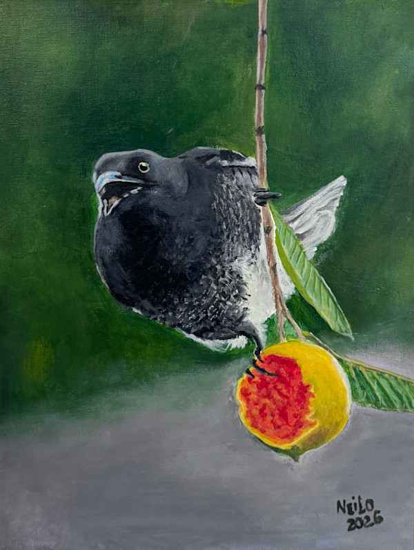 Bird Feeding On A Guava by Neil Paul