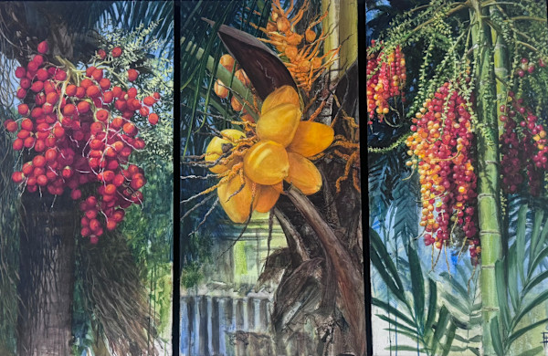 Palm Seeds by Arthur Atkinson, Image 1.