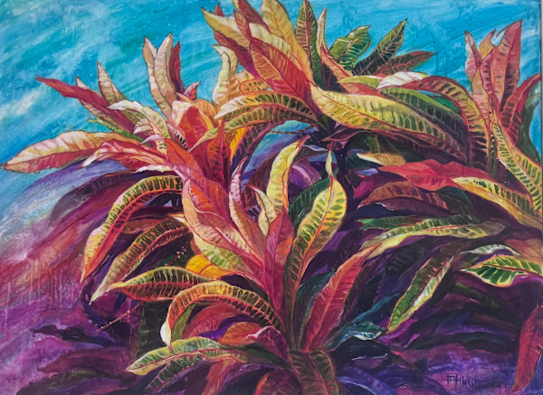 Crotons 2025 by Arthur Atkinson, Image 1.