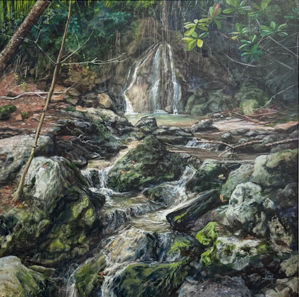 Bath Waterfall by Arthur Atkinson, Image 1.