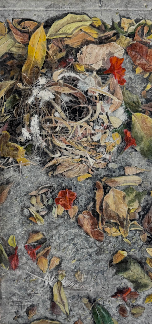 Nest With Feathers by Arthur Atkinson, Image 1.
