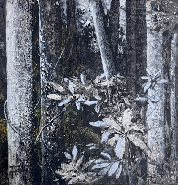 A’s Gully by Arthur Atkinson, Image 1.