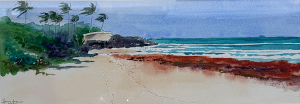 Crane Beach - Sargassum by Henry Fraser, Image 1.